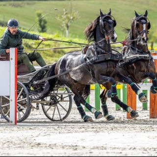 Nedělní Open Driving Cup na Jítravě - náš Milan Kadlec získal v kategorii dvojspřeží druhé místo. 🥈 Gratulujeme 💚🐎🐎...