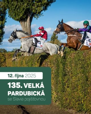 🏇 Velká pardubická se poběží už zítra! 🏇 Všem účastníkům přejeme hlavně bezpečný doběh do cíle. 🍀 Kromě hlavního dostihu...