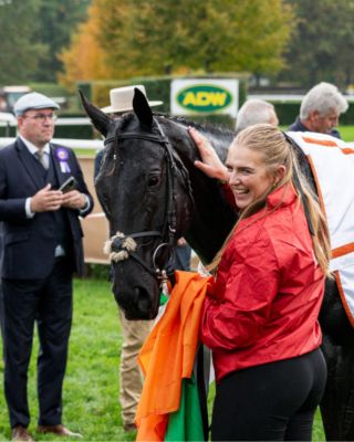 Dostihová sezóna už se pomaličku chýlí ke konci, a určitě ještě dlouho v nás všech přetrvají dojmy z Velké pardubické a...