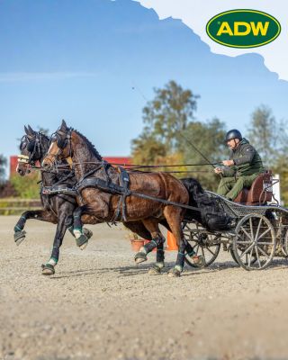 V Suché u Litomyšle proběhlo poslední kolo letošního Open Driving Cupu 2025, odkud si Milan Kadlec ve své kategorii odvezl...