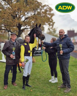 🐎🐎 Na světě nenajdete dva zcela identické koně - i když jsou stejného plemene, věku i pohlaví, i když stojí ve stejné...