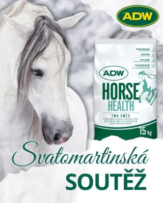 🐴❄️ SVATOMARTINSKÁ SOUTĚŽ 2025 ❄️🐴 Svatý Martin letos zase dorazil většinou bez sněhu, ale my si zimní náladu uděláme...