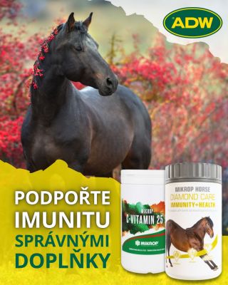 Sychravé počasí volá po podpoře imunity 🫐🌿💊 V nabídce u nás proto najdete: 💊 Osvědčený vitamín C 🫚 Přírodní doplněk Horse...