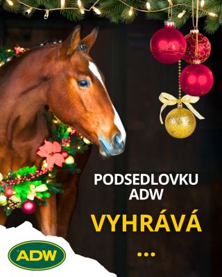 Vylosovali jsme výherce - tedy výherkyni - naší letošní adventní soutěže o podsedlovku ADW. 🎁 Štěstí se usmálo na Zuzku...